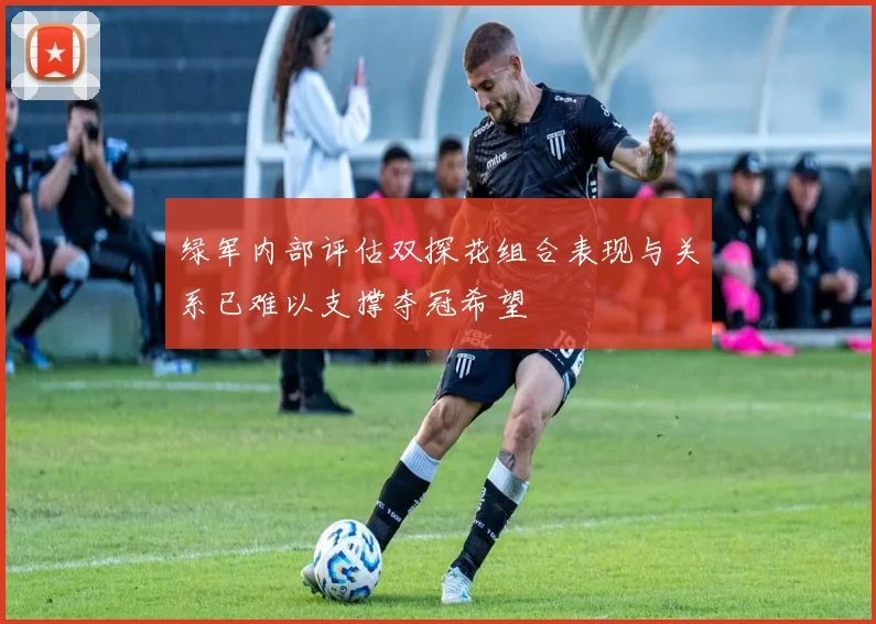 绿军内部评估双探花组合表现与关系已难以支撑夺冠希望