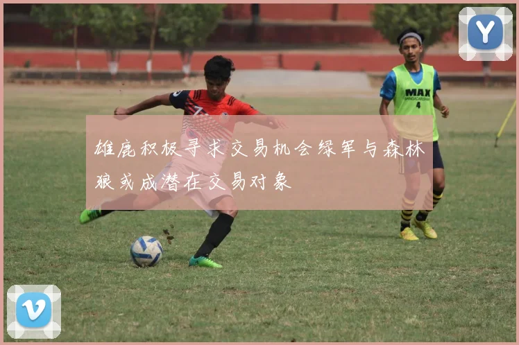 雄鹿积极寻求交易机会绿军与森林狼或成潜在交易对象